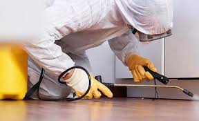 Best Pest Prevention Services  in USA